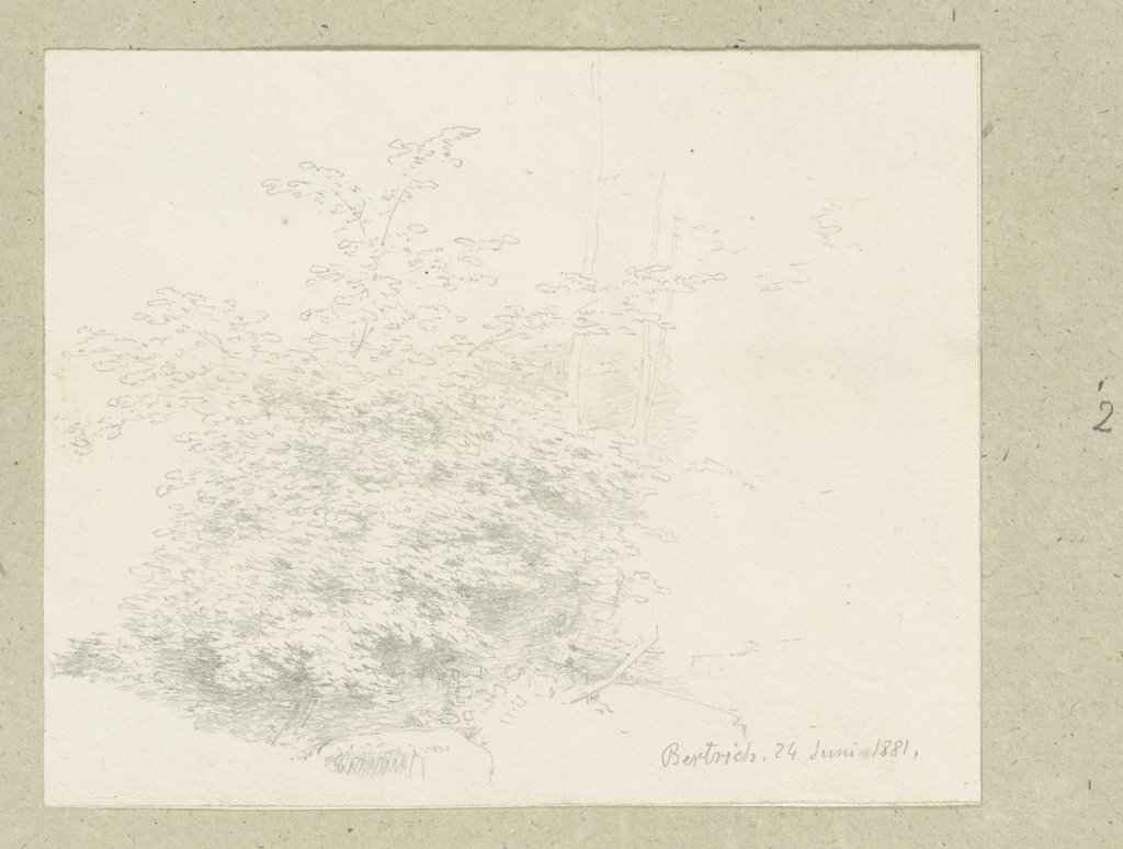 Felling of trees, Carl Theodor Reiffenstein