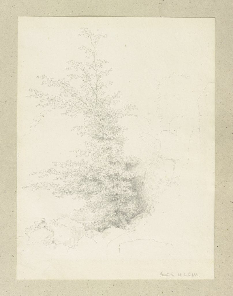 Young tree near Bertrich, Carl Theodor Reiffenstein