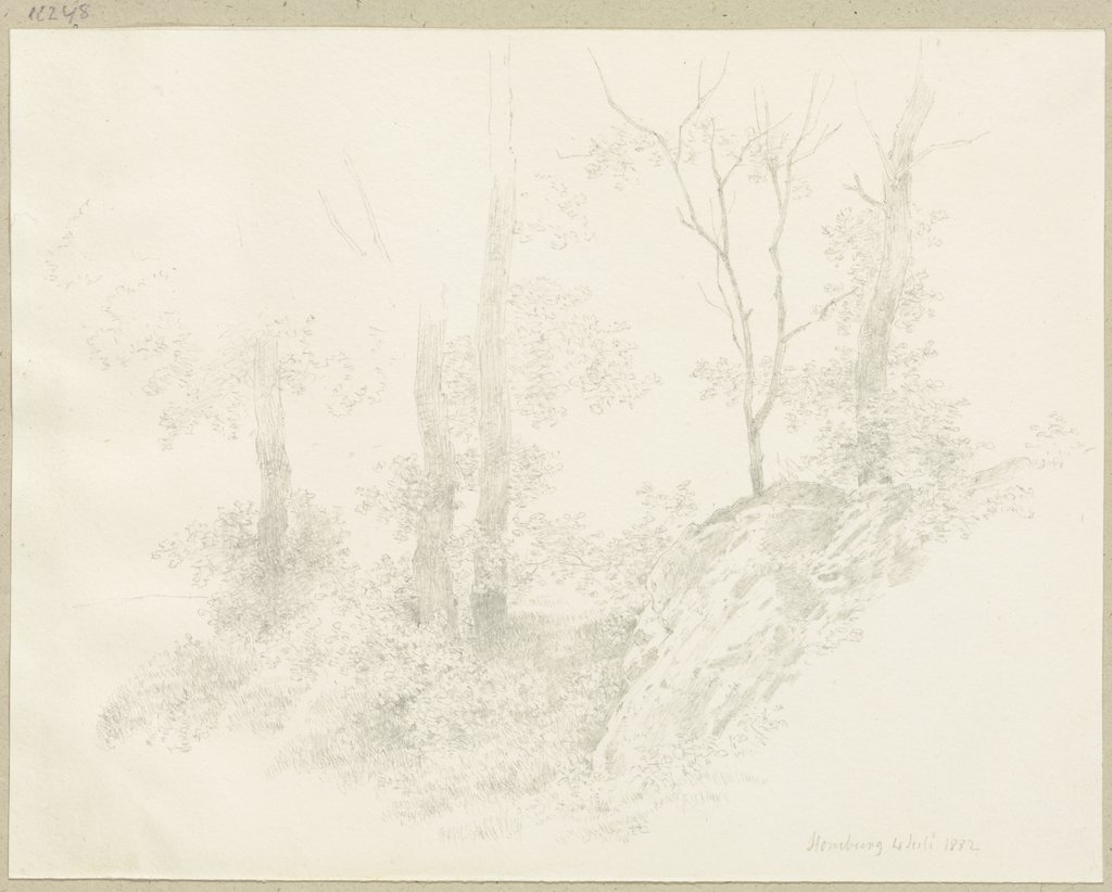 Forest near Homburg, Carl Theodor Reiffenstein