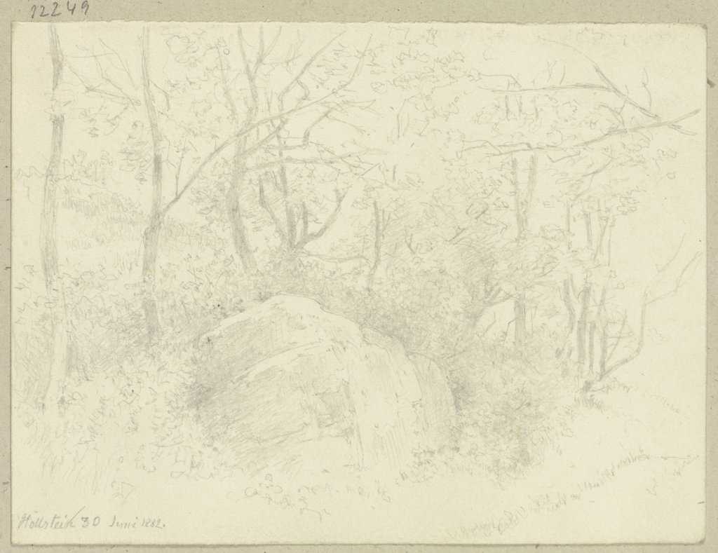 Waldpartie bei Höllstein, Carl Theodor Reiffenstein