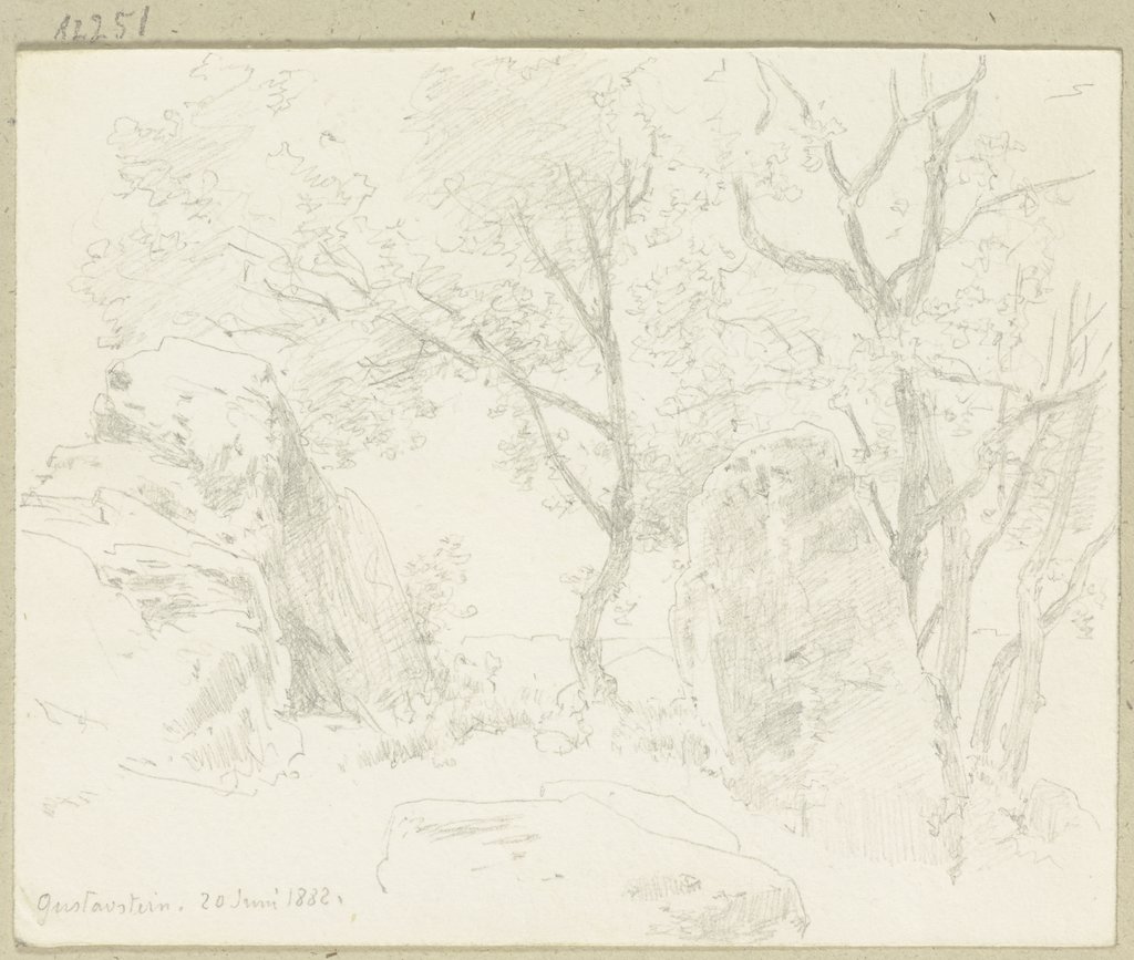 Bäume zwischen Felsbrocken bei Gustavstein, Carl Theodor Reiffenstein