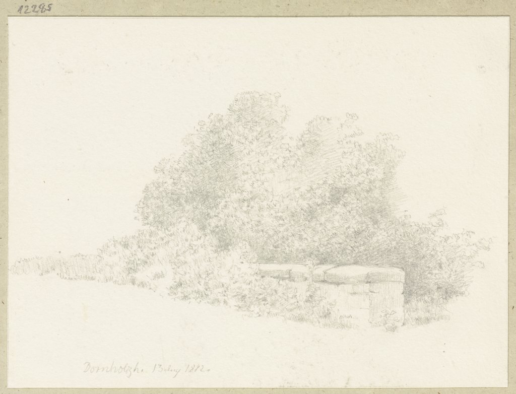 Stone parapet in front of thicket, Carl Theodor Reiffenstein