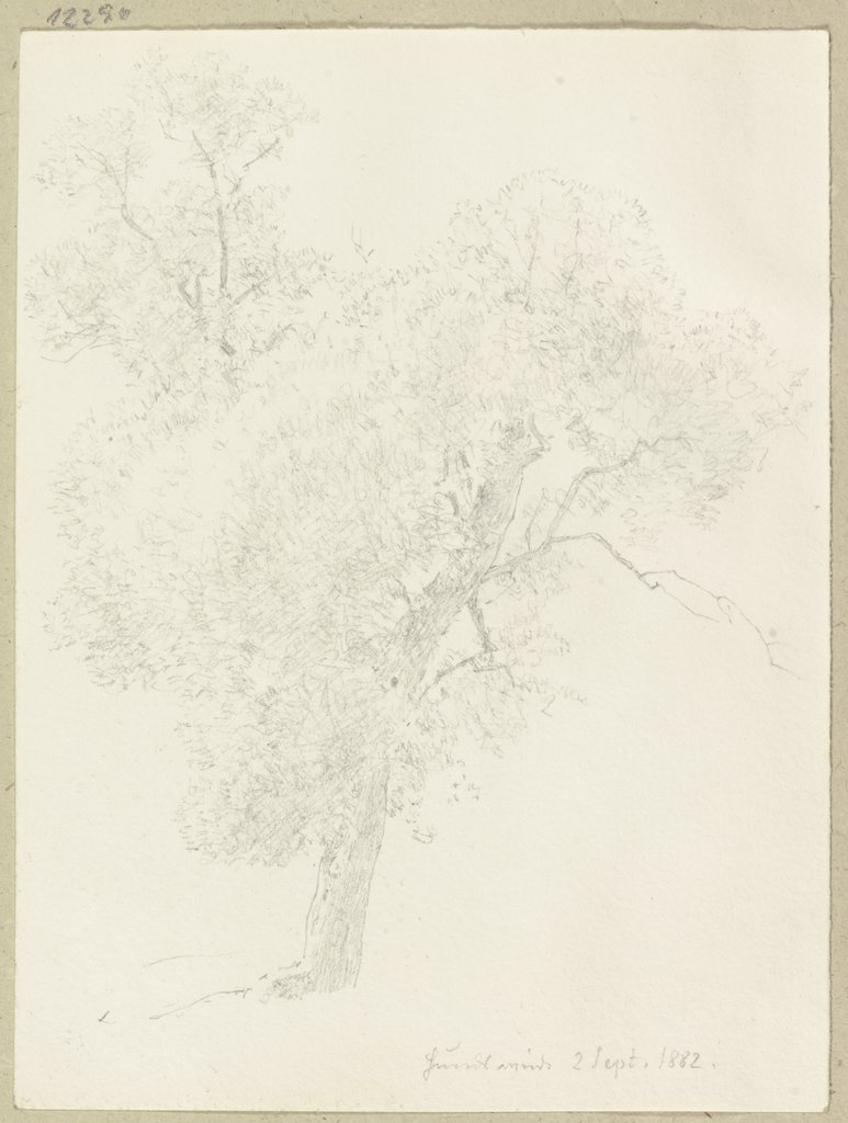 Tree near the Hundsweide, Carl Theodor Reiffenstein