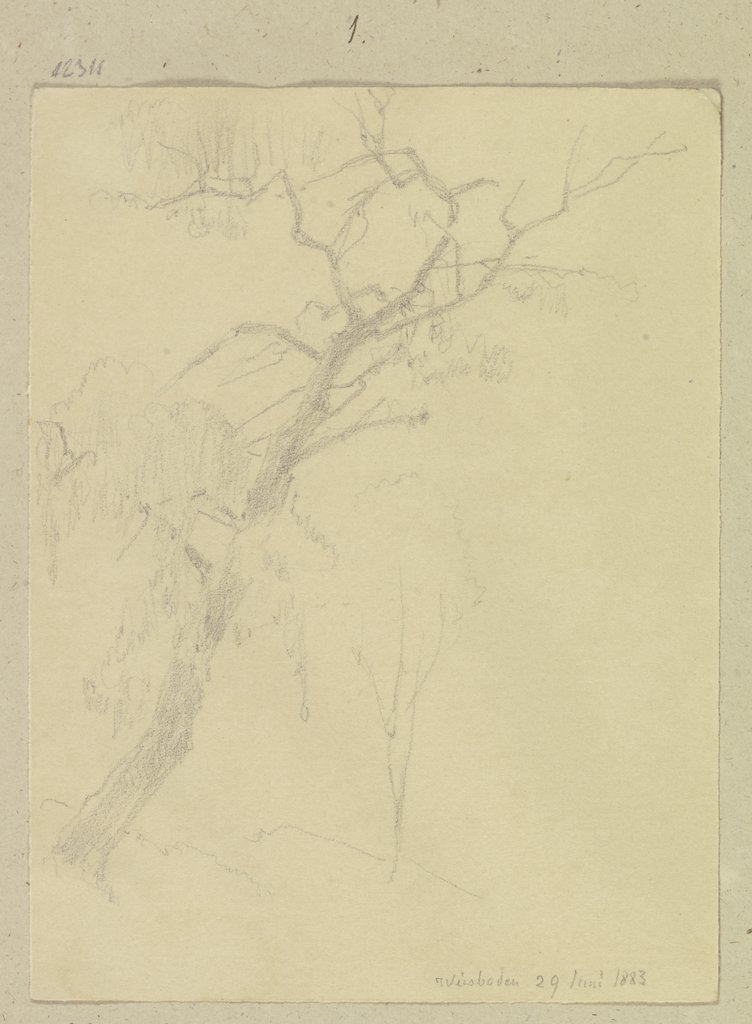 Leafless tree in Wiesbaden, Carl Theodor Reiffenstein