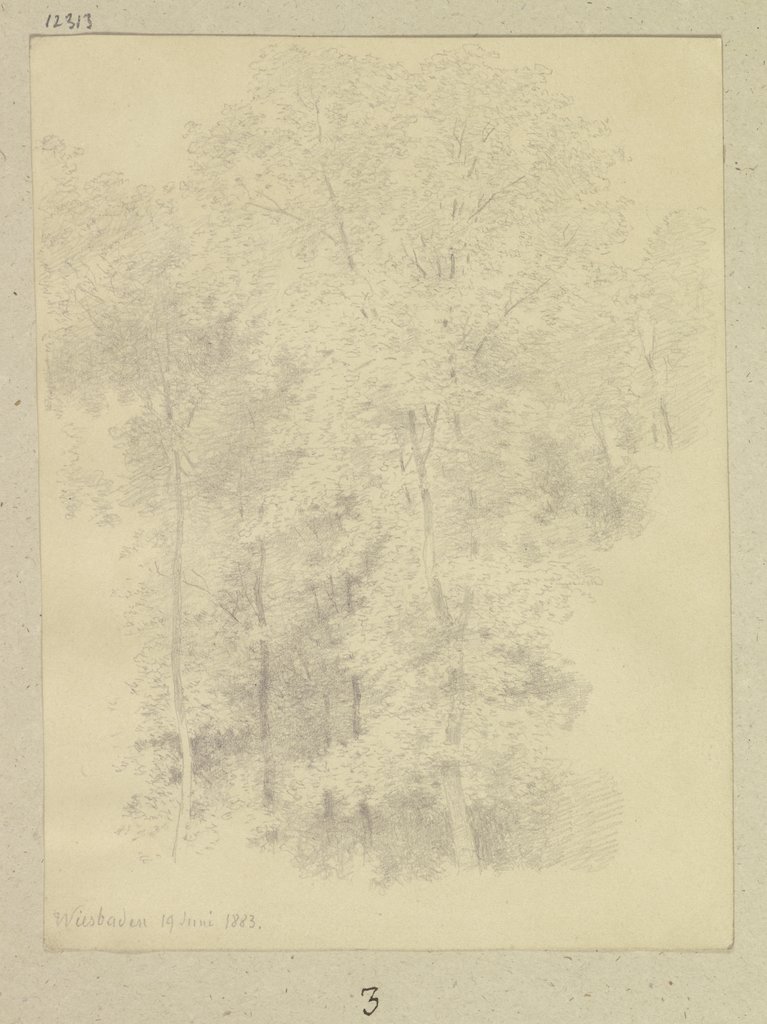 Piece of a forest near Wiesbaden, Carl Theodor Reiffenstein