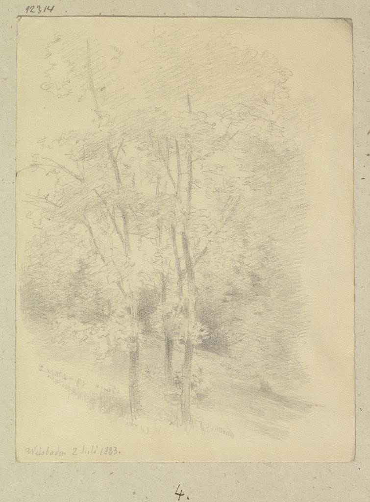 Woodland near Wiesbaden, Carl Theodor Reiffenstein