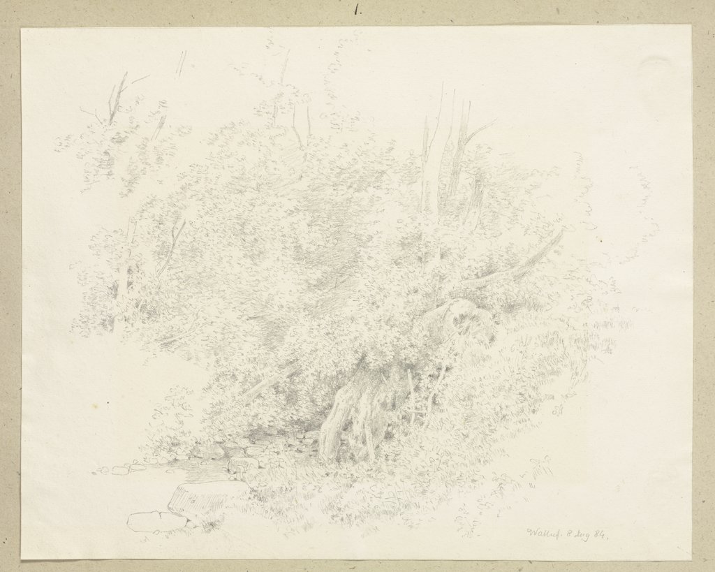 Waldpartie an einem Gewässer bei Walluf, Carl Theodor Reiffenstein