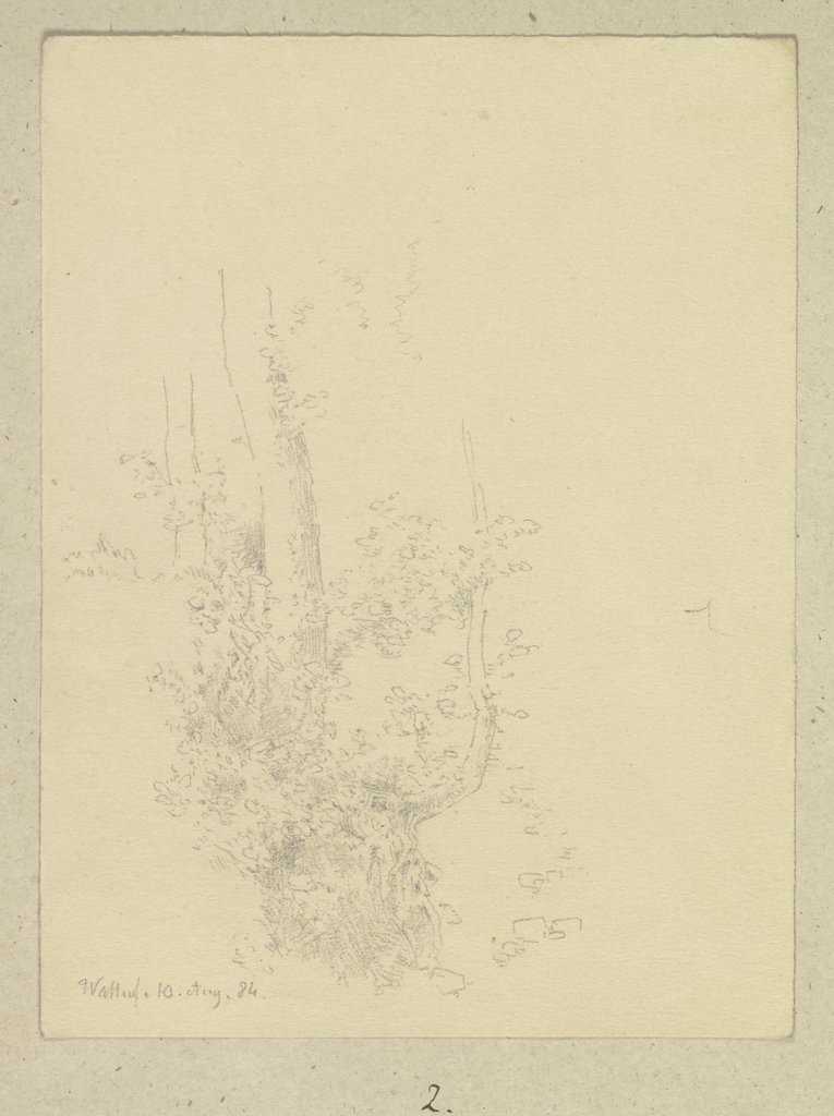 Baum mit freiliegendem Wurzelstock bei Walluf, Carl Theodor Reiffenstein