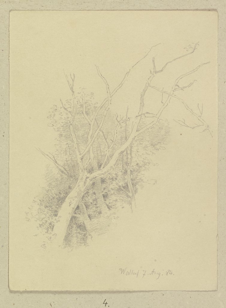 Waldstück mit kahlem Baum, Carl Theodor Reiffenstein