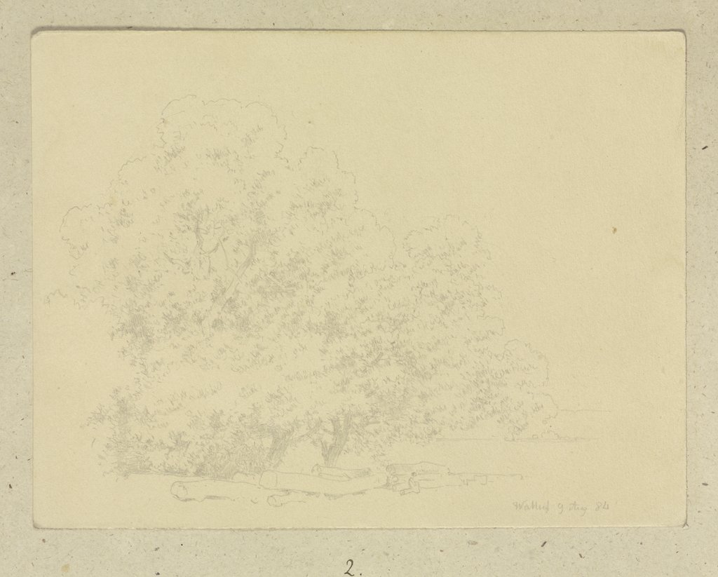 Group of trees near Walluf, Carl Theodor Reiffenstein