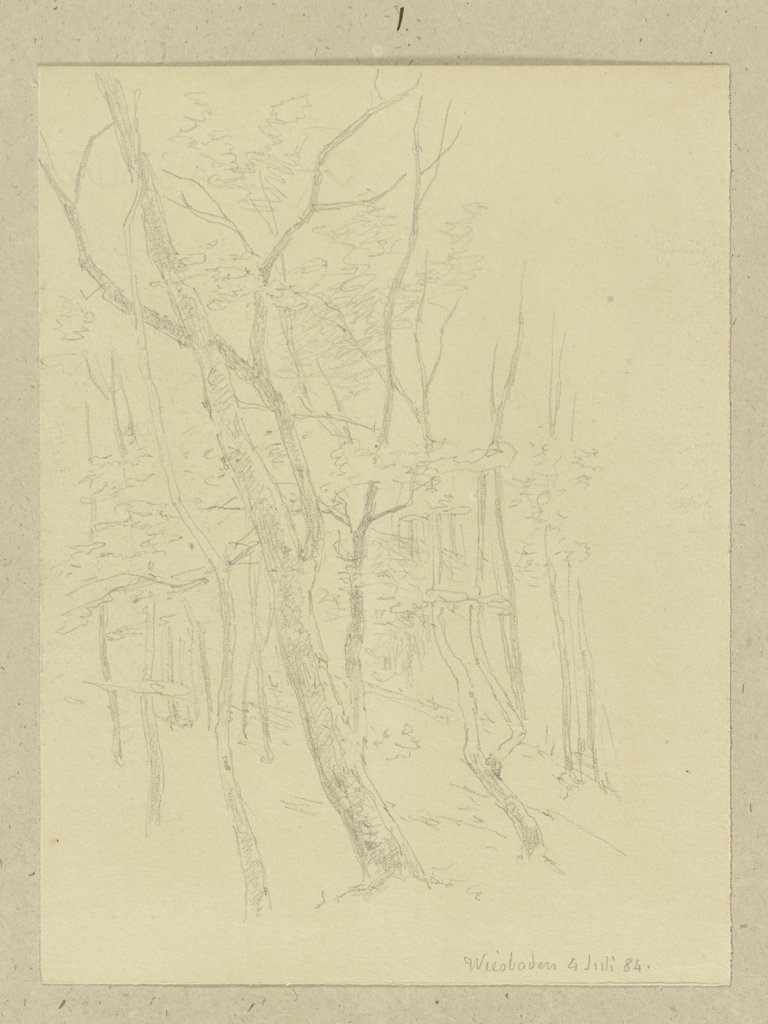 Forest section, Carl Theodor Reiffenstein