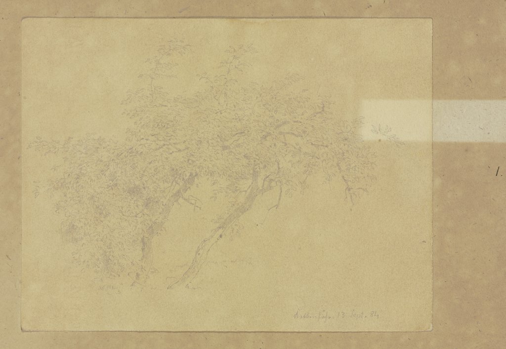 Two trees at the Kettenhof, Carl Theodor Reiffenstein