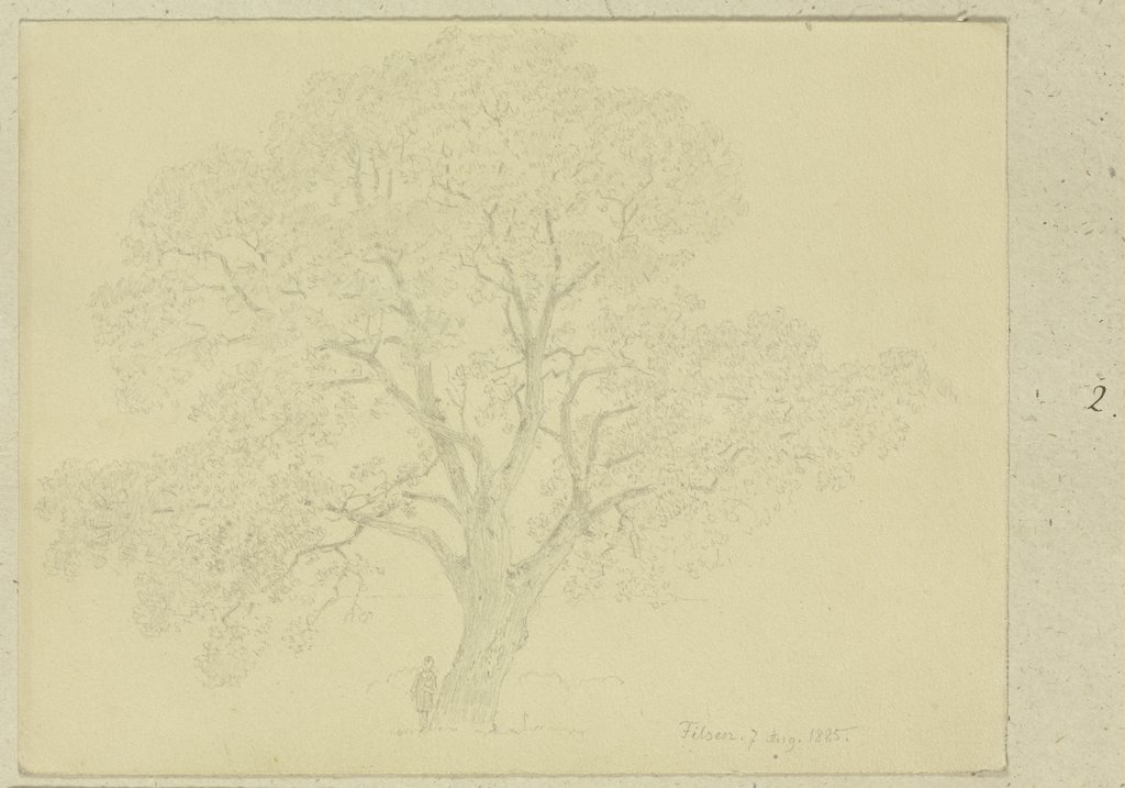 Old tree in Filsen, Carl Theodor Reiffenstein