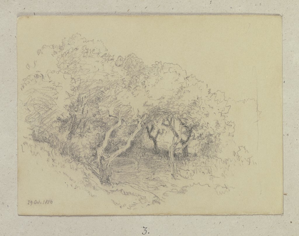 Wäldchen, Carl Theodor Reiffenstein