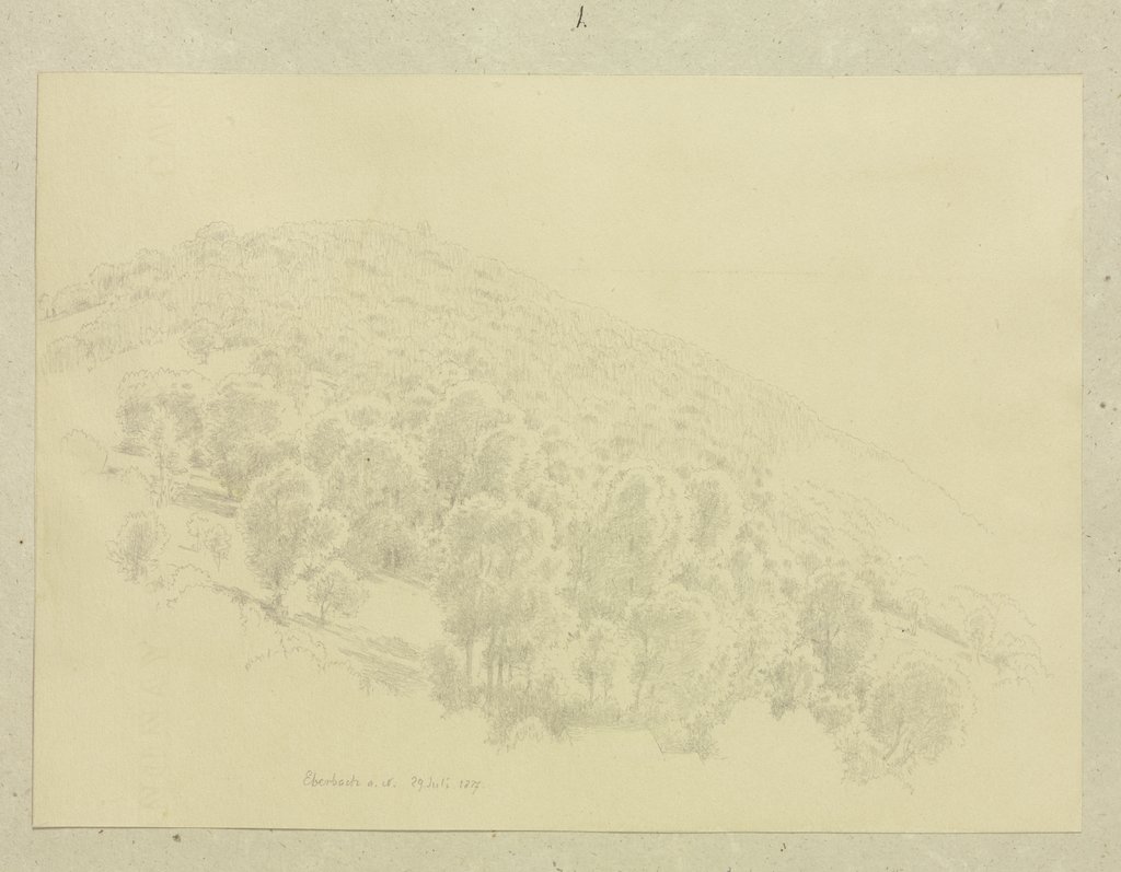 Forested mountain slope, Carl Theodor Reiffenstein