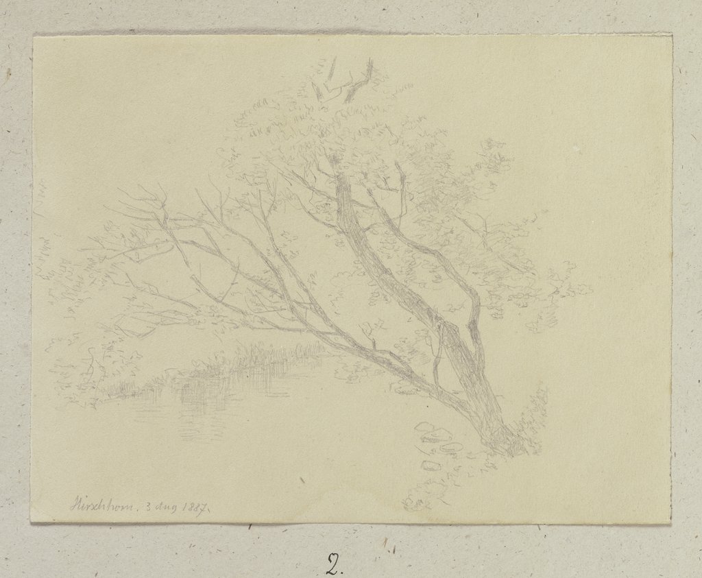 Tree near Hirschhorn, Carl Theodor Reiffenstein