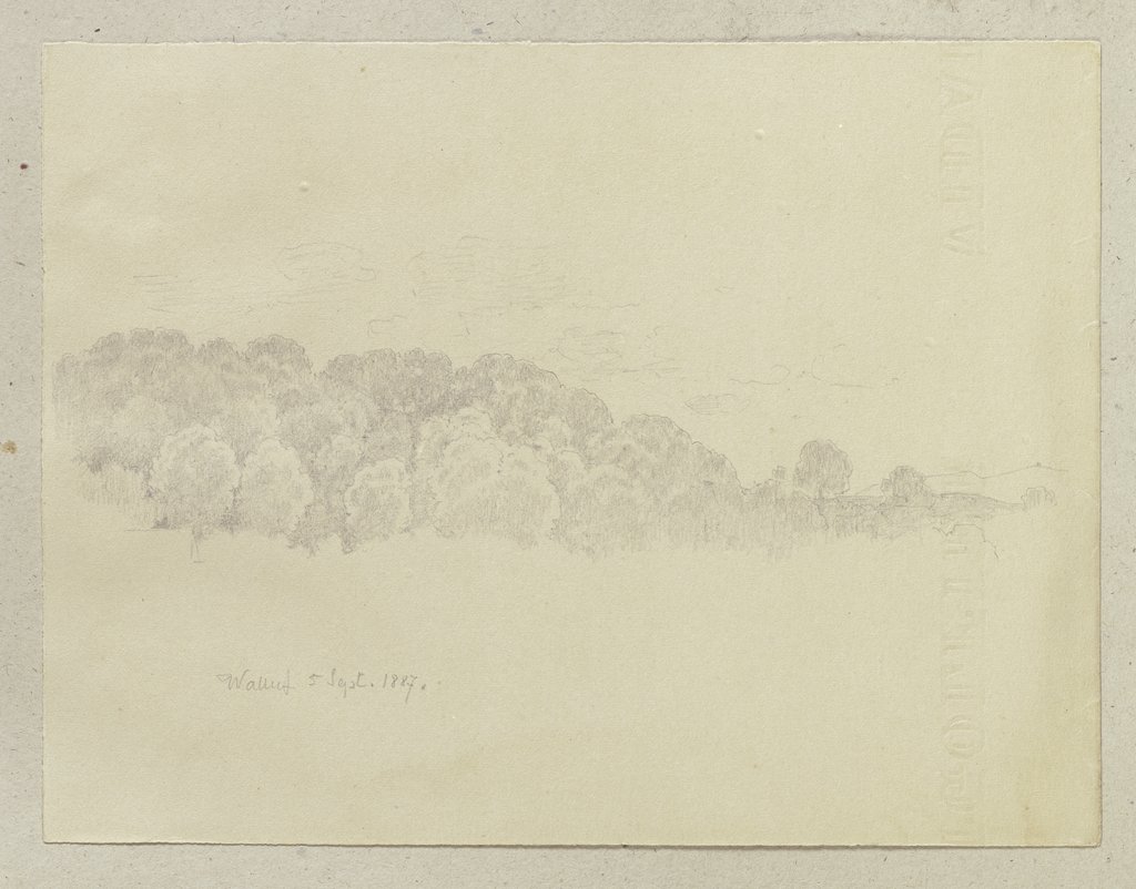 Forest section near Walluf, Carl Theodor Reiffenstein