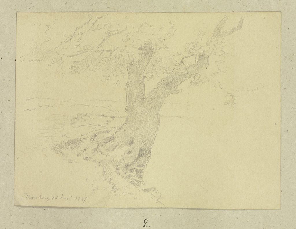 Alter Baum an einer Uferböschung, Carl Theodor Reiffenstein