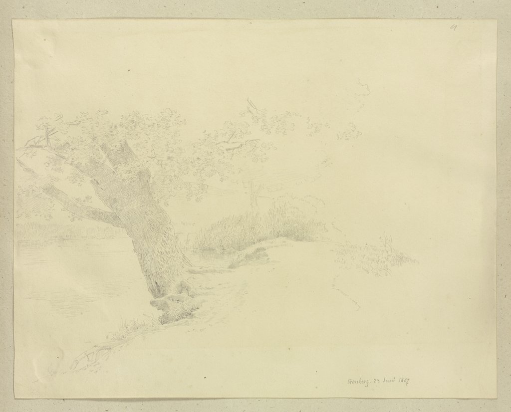 Alter Baum an einer Uferböschung, Carl Theodor Reiffenstein