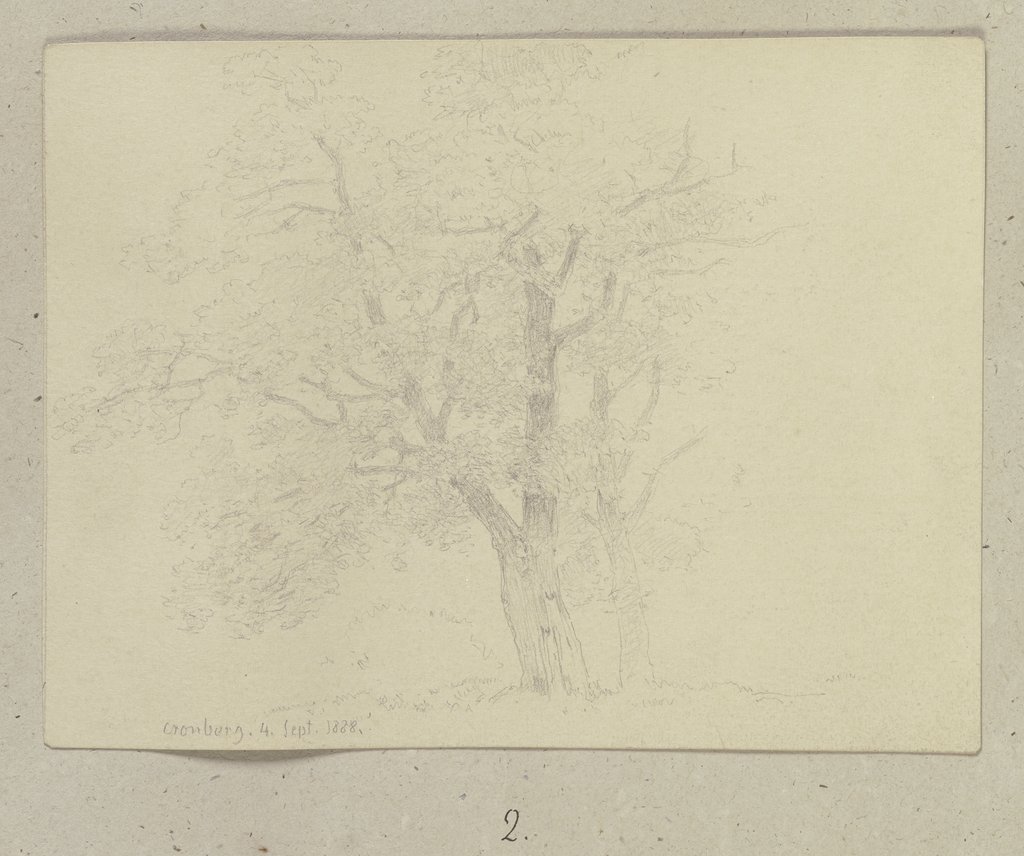 Pair of trees, Carl Theodor Reiffenstein