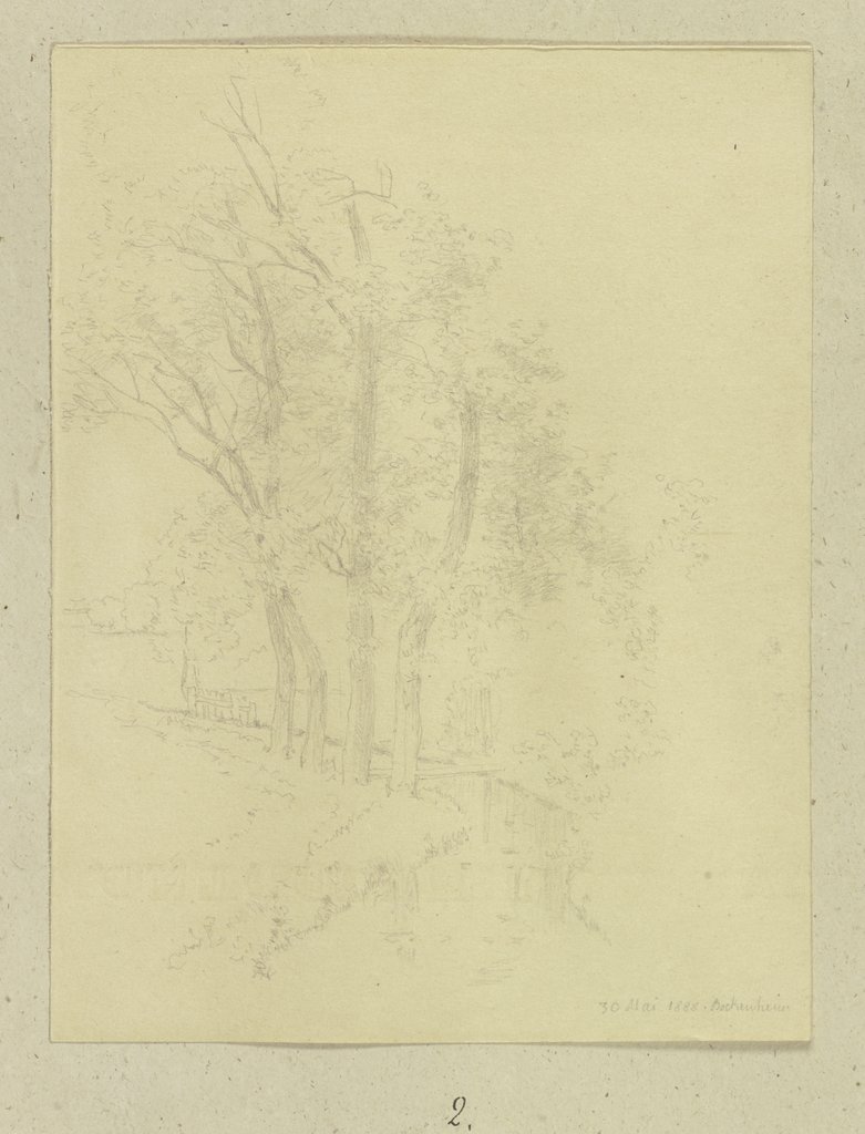 Row of trees along a stream, Carl Theodor Reiffenstein