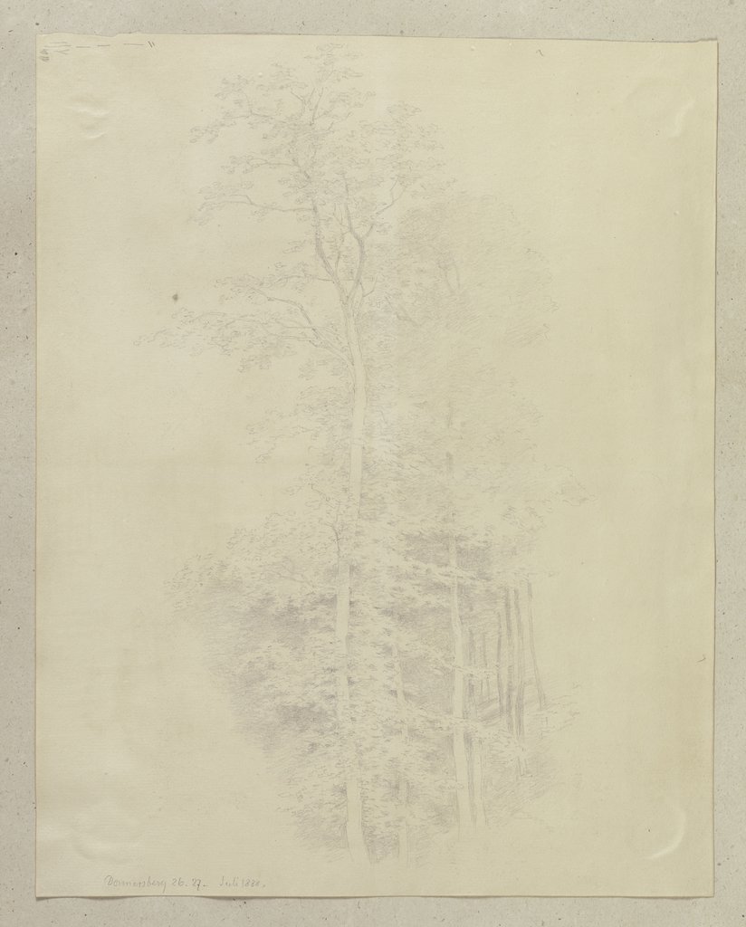 Forest at Donnersberg, Carl Theodor Reiffenstein
