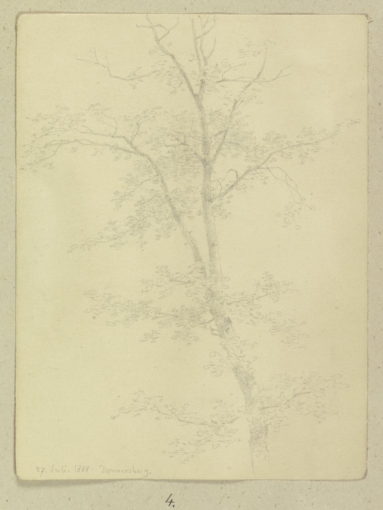 Tree at the Donnersberg, Carl Theodor Reiffenstein