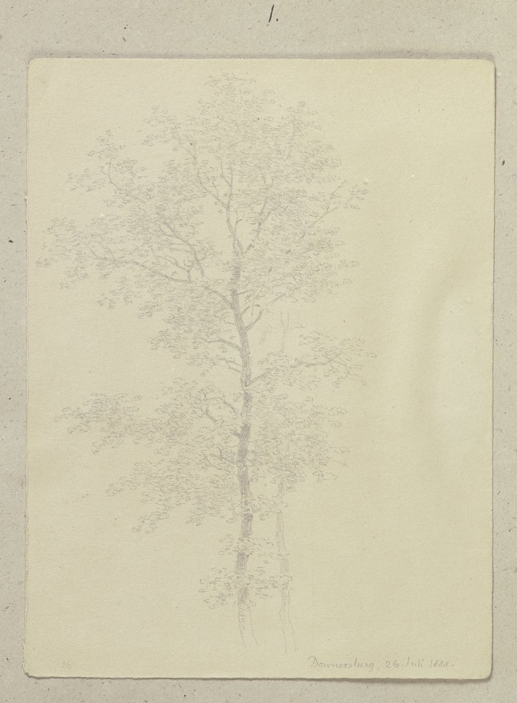 Tree at the Donnersberg, Carl Theodor Reiffenstein
