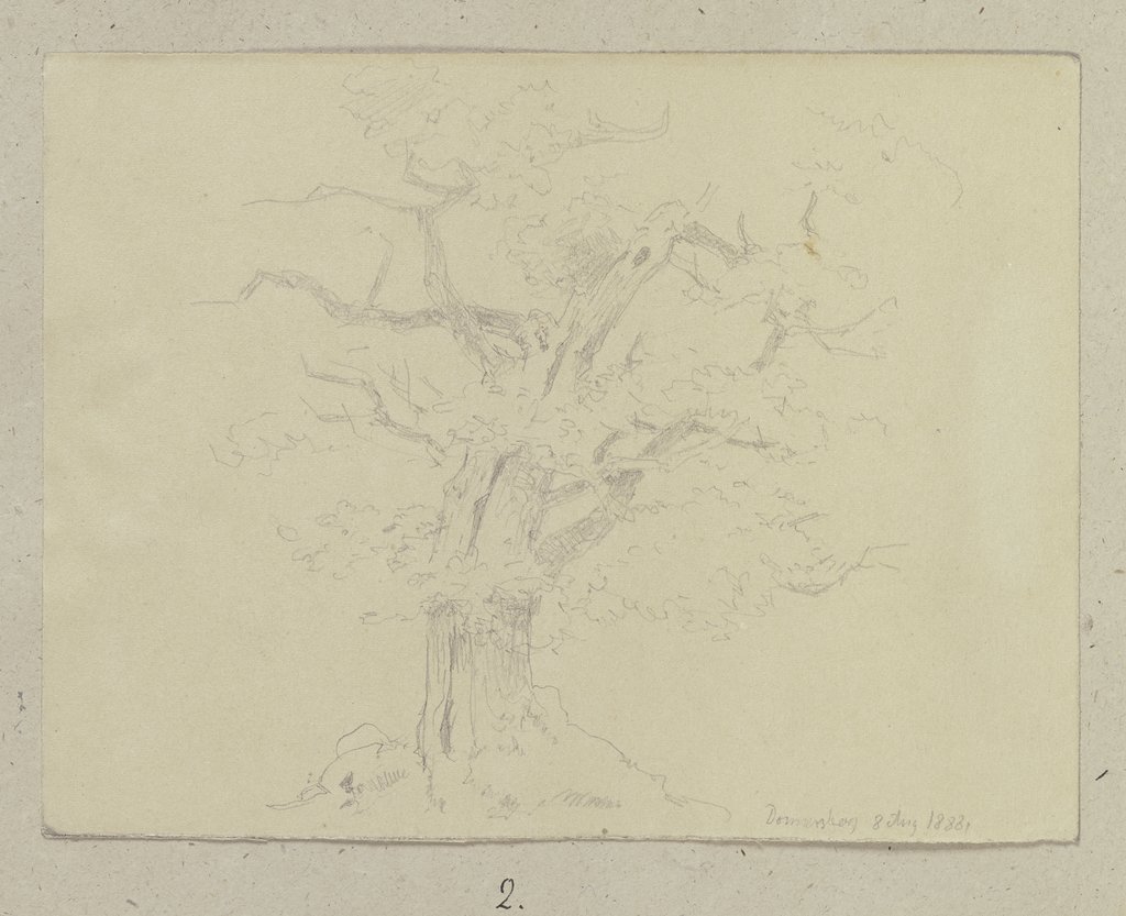 Old tree at Donnersberg, Carl Theodor Reiffenstein