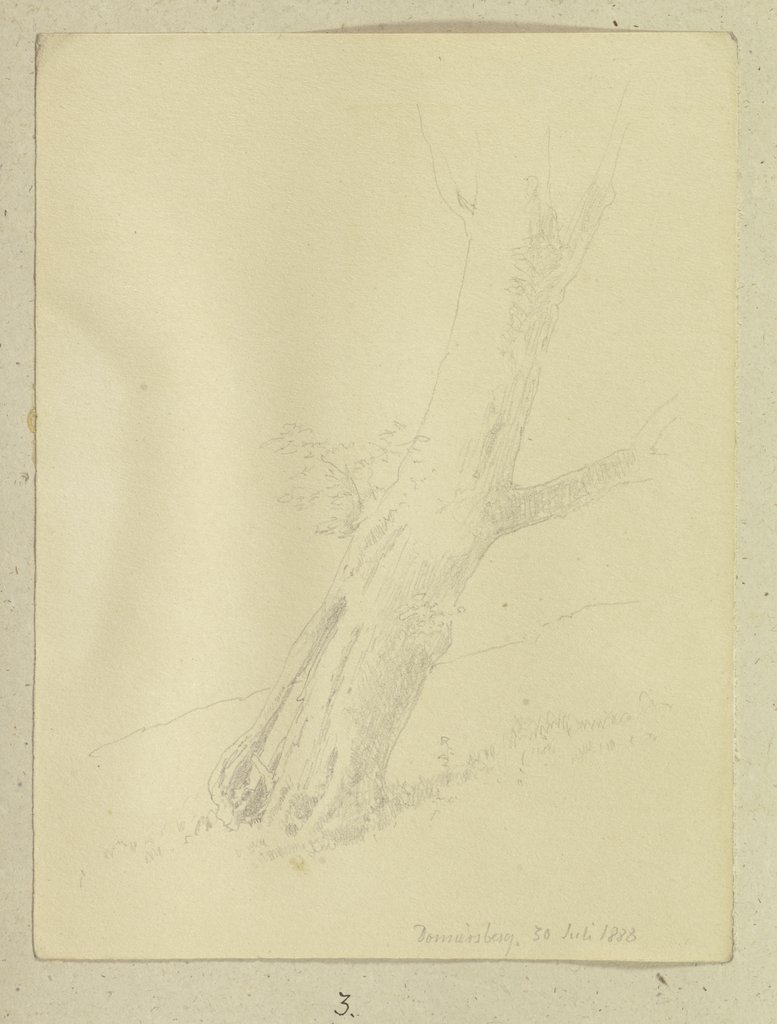Baum am Donnersberg, Carl Theodor Reiffenstein