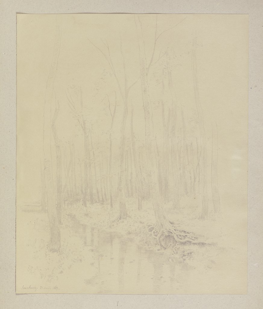 Wald, durchflossen von einem Bachlauf, Carl Theodor Reiffenstein