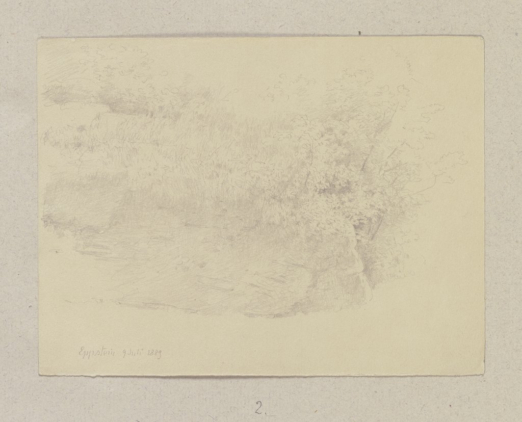 Strauchwerk vor einer Felswand, Carl Theodor Reiffenstein