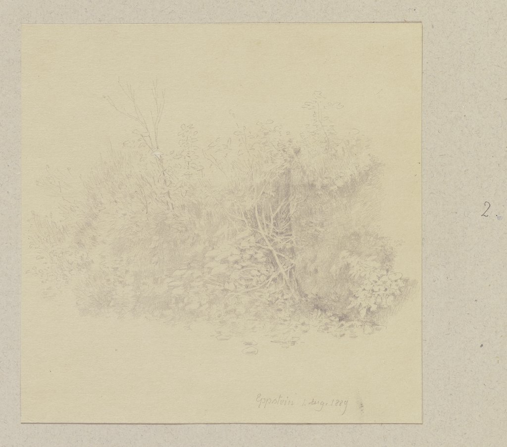 Overgrown rock, Carl Theodor Reiffenstein