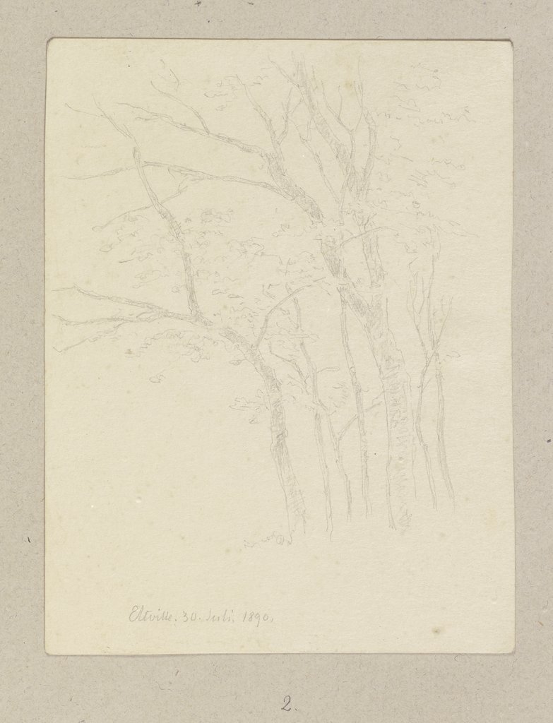 Group of trees, Carl Theodor Reiffenstein
