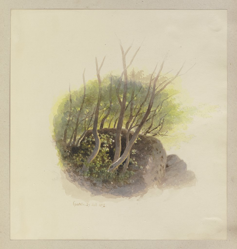 Waldstück mit Felsblock, Carl Theodor Reiffenstein