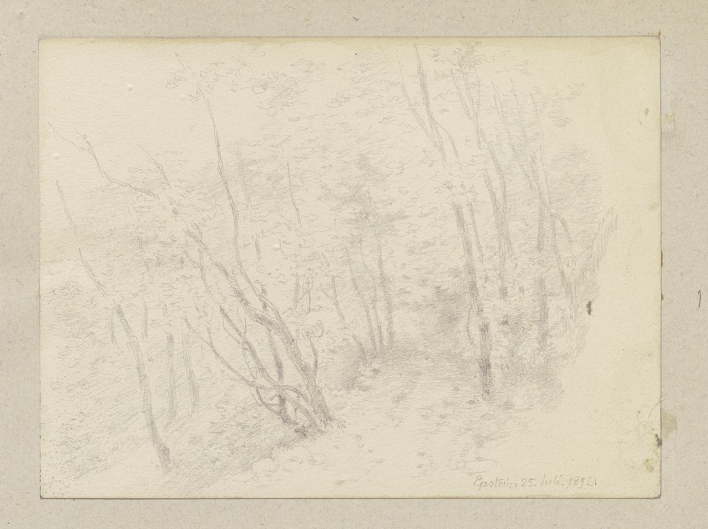 Forest path near Eppstein, Carl Theodor Reiffenstein