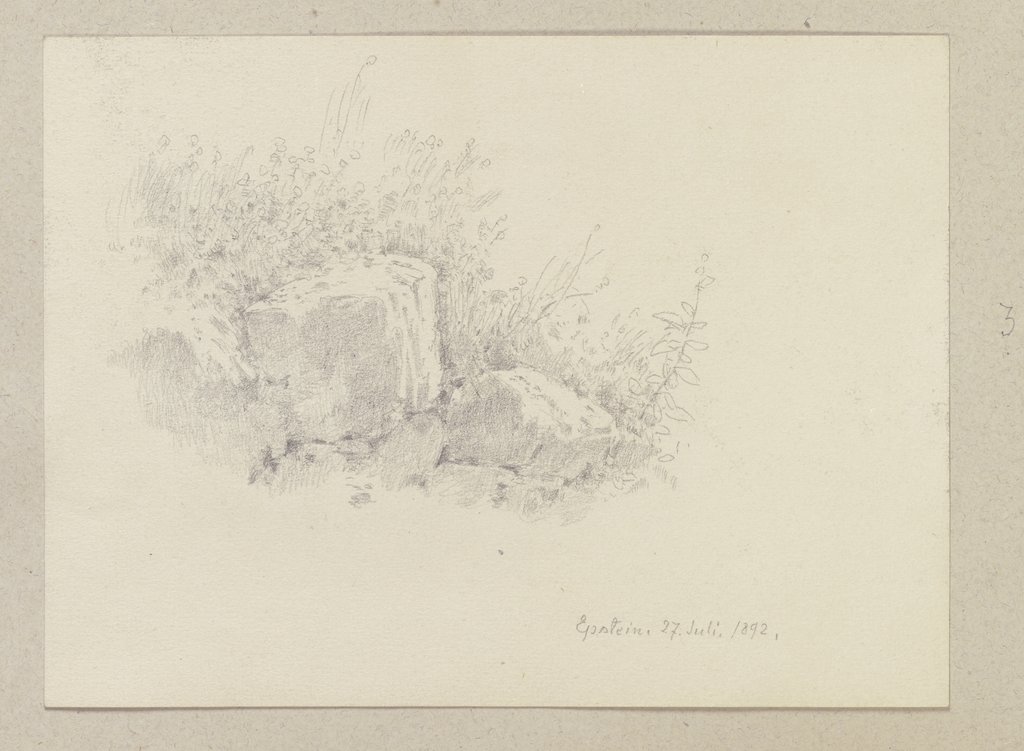Patch of grass with boulders, Carl Theodor Reiffenstein
