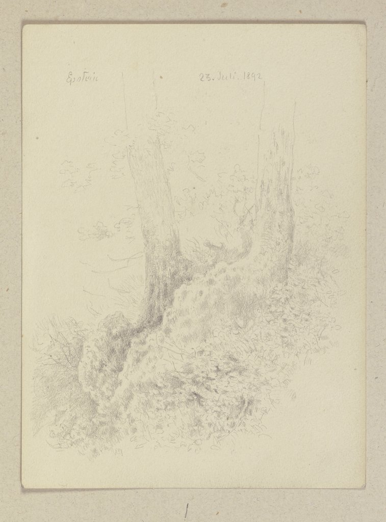 Waldstück bei Eppstein, Carl Theodor Reiffenstein