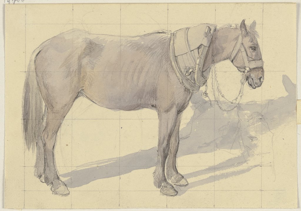 Bridled horse, Jakob Becker