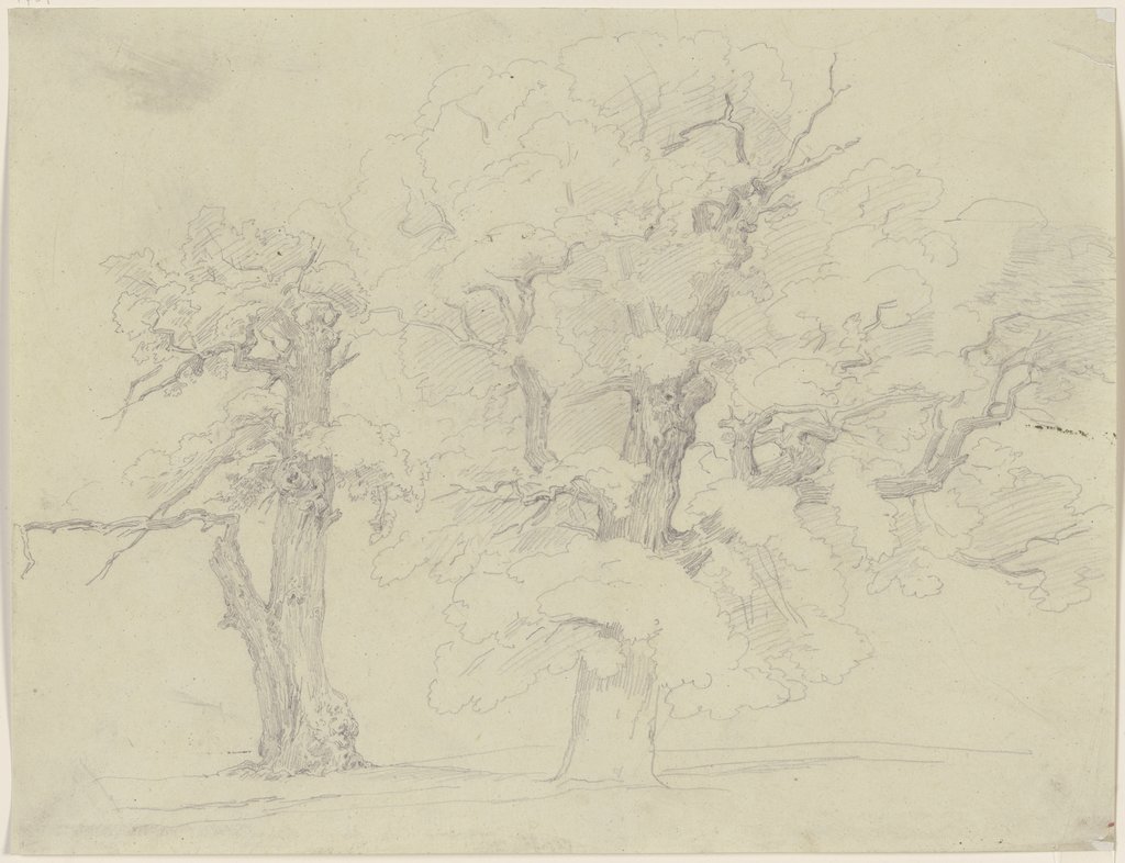 Two trees, Jakob Becker