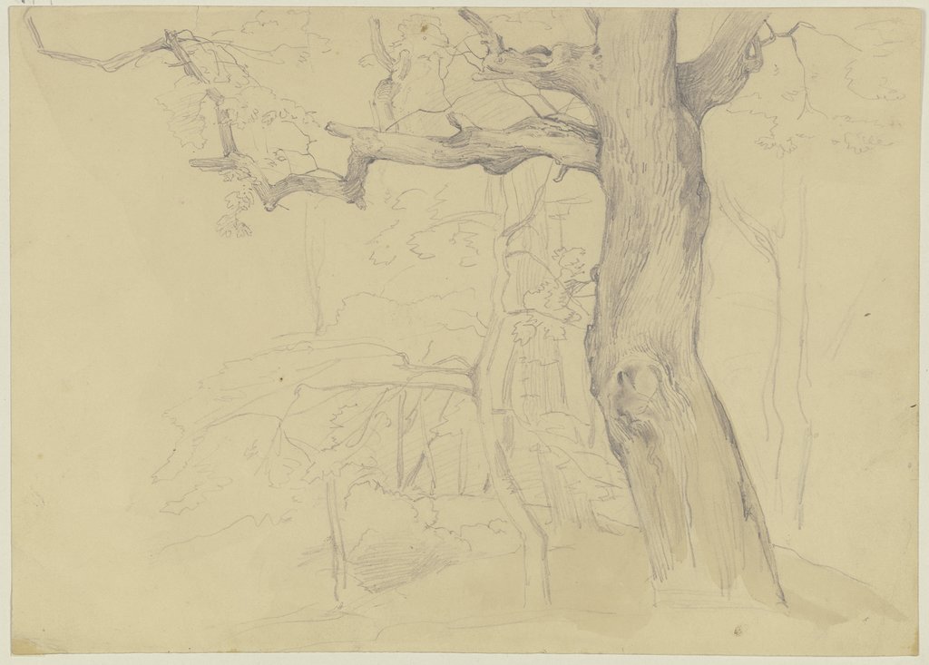 Group of trees, Jakob Becker