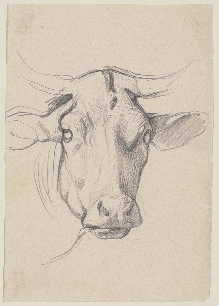 Kopf einer Kuh, Jakob Becker