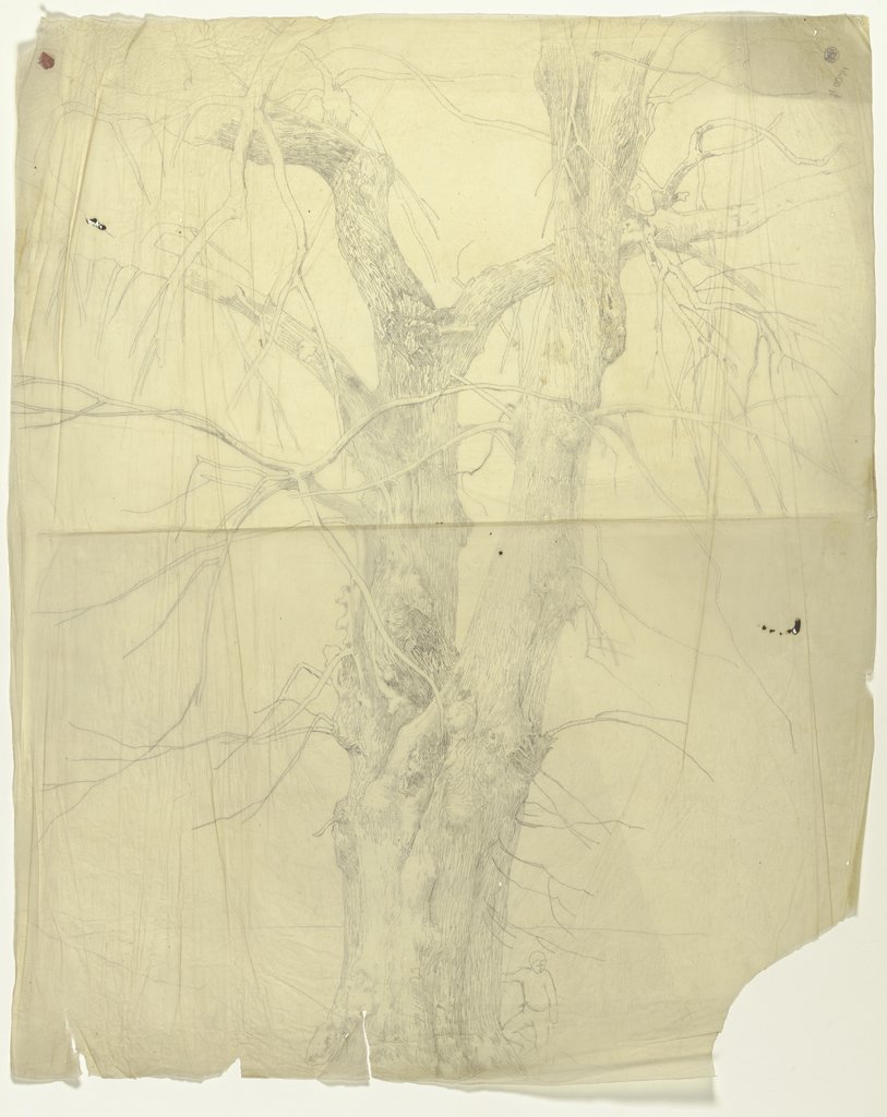 Leafless tree, Jakob Becker