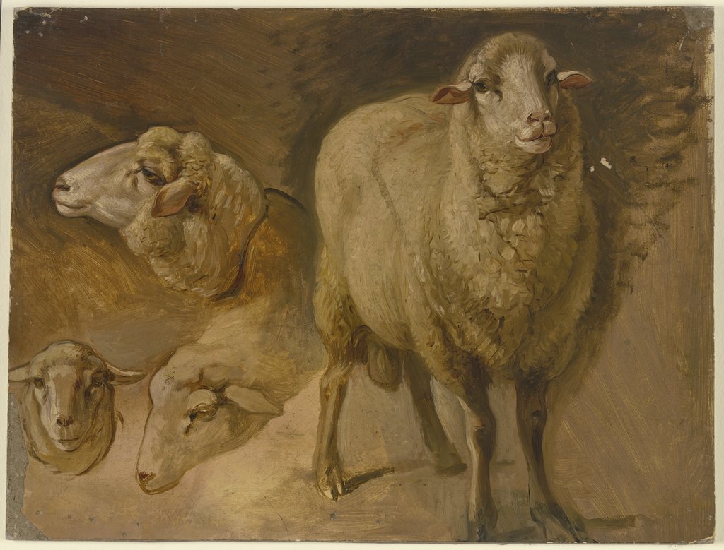 Sheep, Jakob Becker