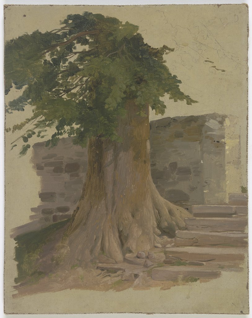 Alter Baum an einem Mauerstück, Jakob Becker