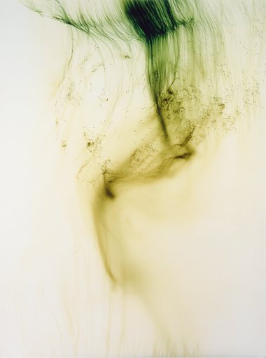 Wolfgang Tillmans /Freischwimmer 写真集 図録 Wolfgang Tillmans - Digital Collection