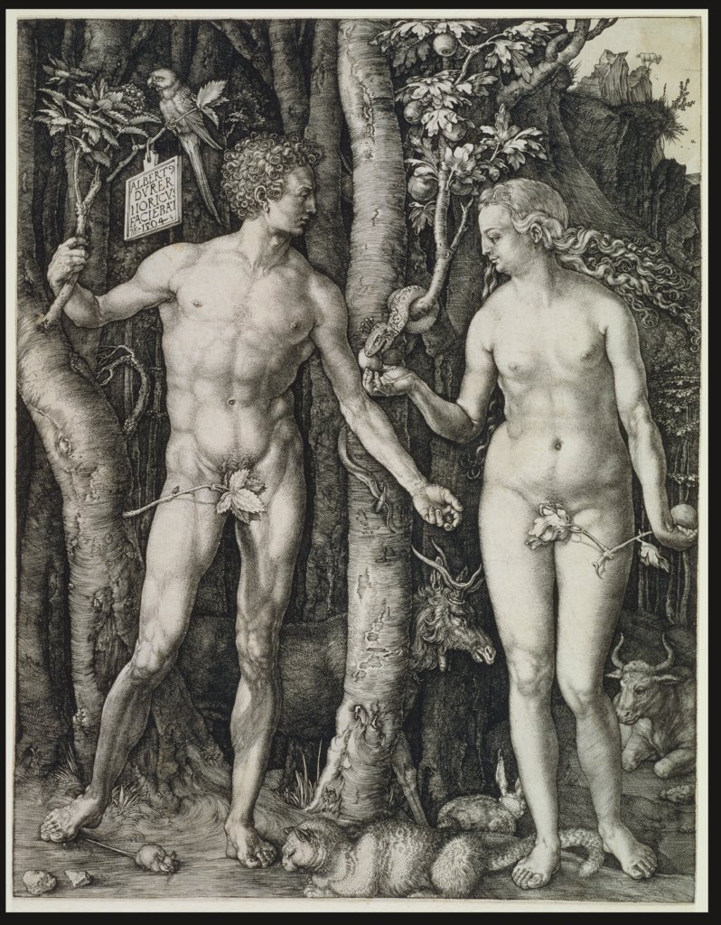 Adam und Eva (Der Sündenfall), Albrecht Dürer