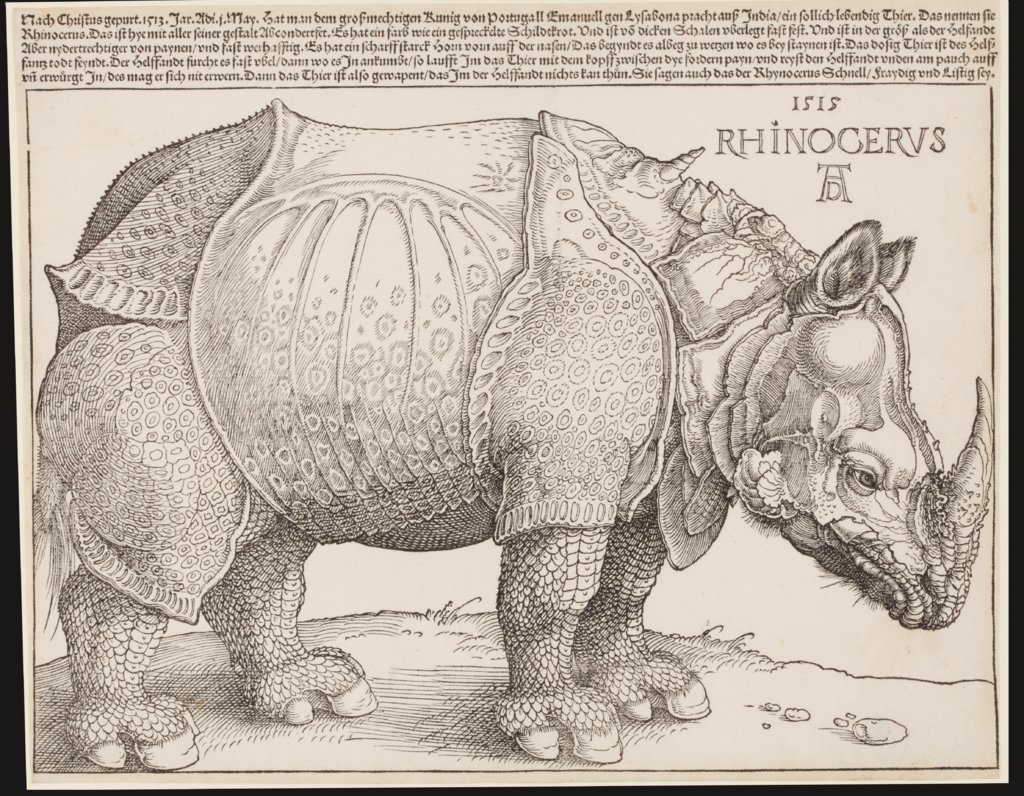 Rhinocerus (Das Rhinozeros), Albrecht Dürer