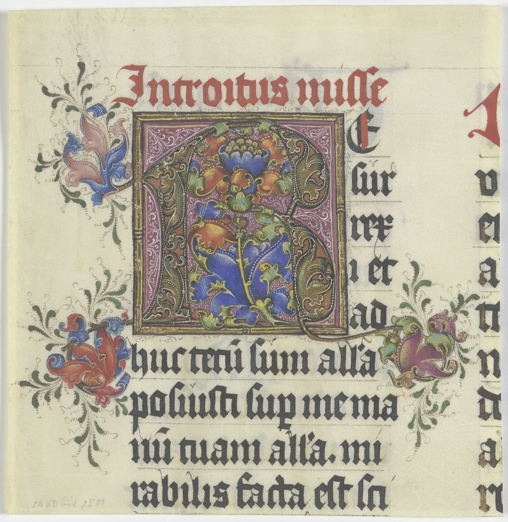 Initiale R (verso Textfragment), Deutsch, 15. Jahrhundert