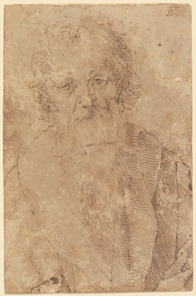 Bärtiger alter Mann, Albrecht Dürer